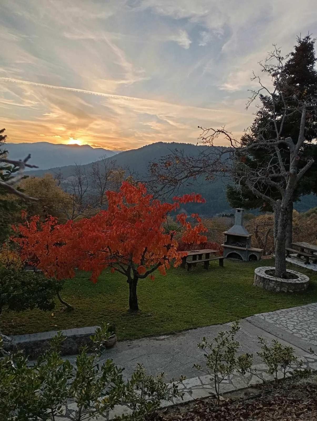 Ξενώνας Το Πατρικό Karia  Exterior photo